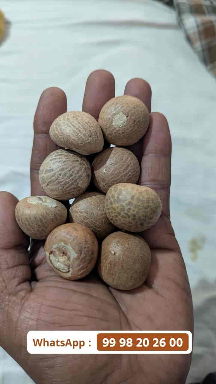 2629 choll moti / જૂની મોતી 