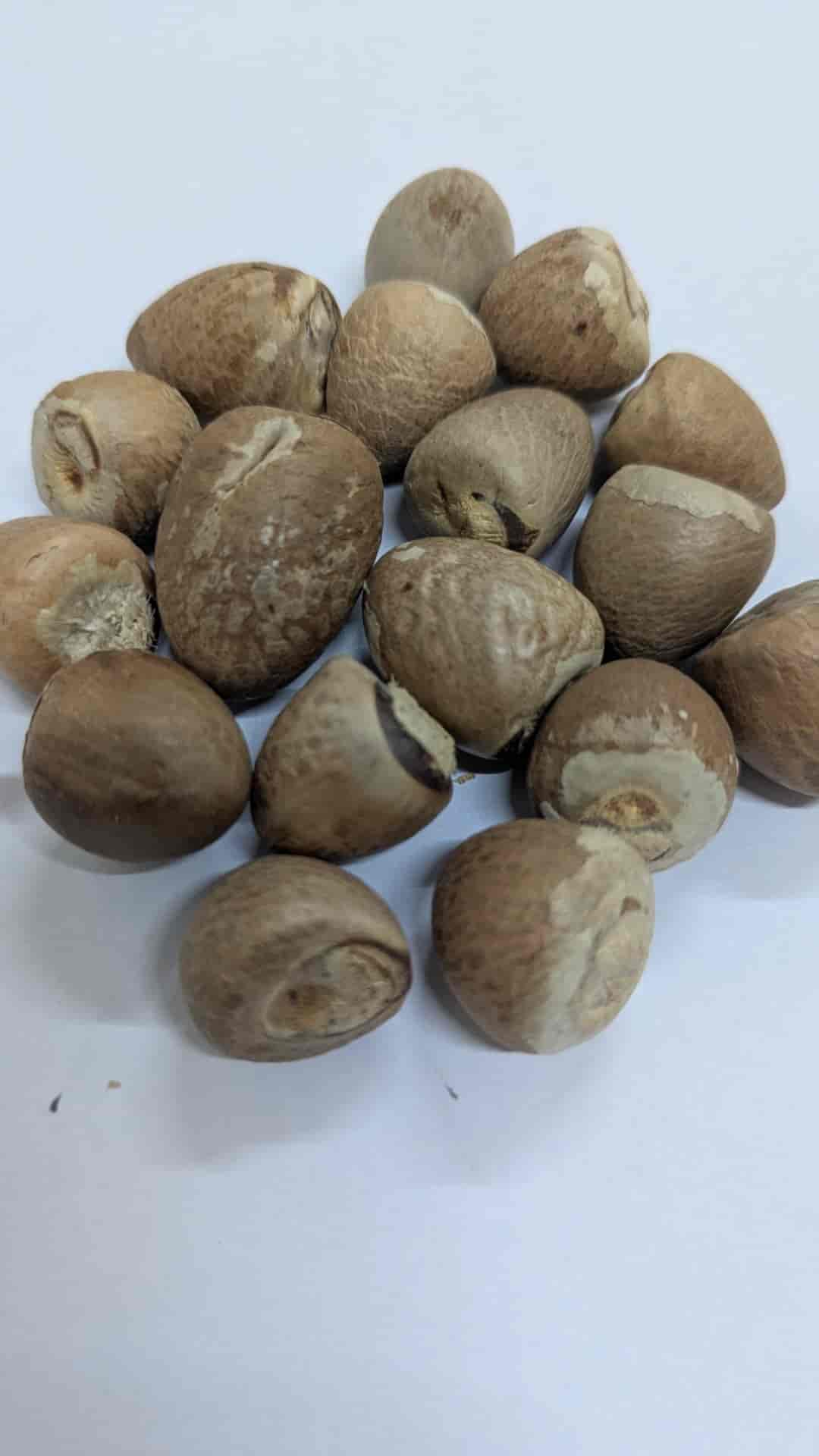 જામ /Jam Mangluru