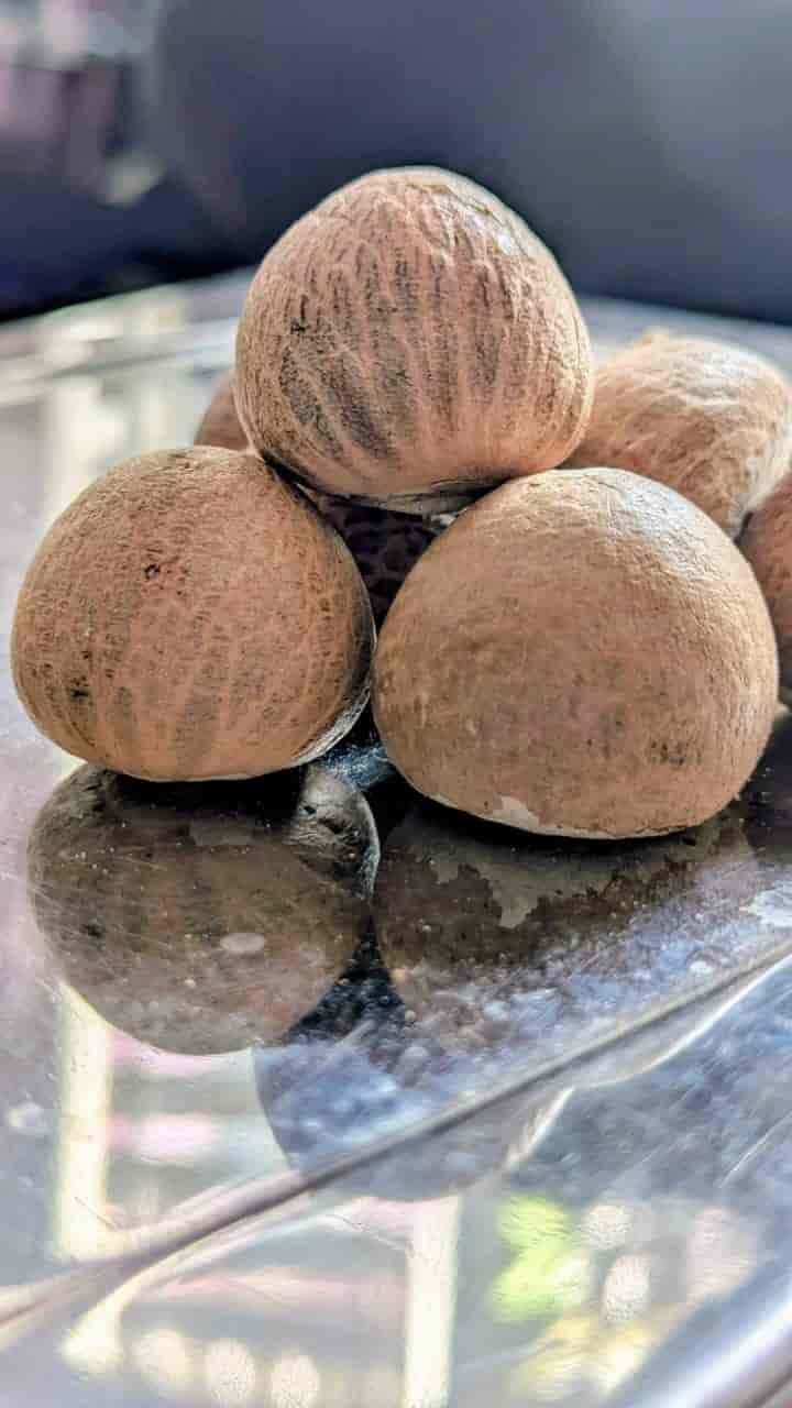 Choll MORO / જુનો મોરો