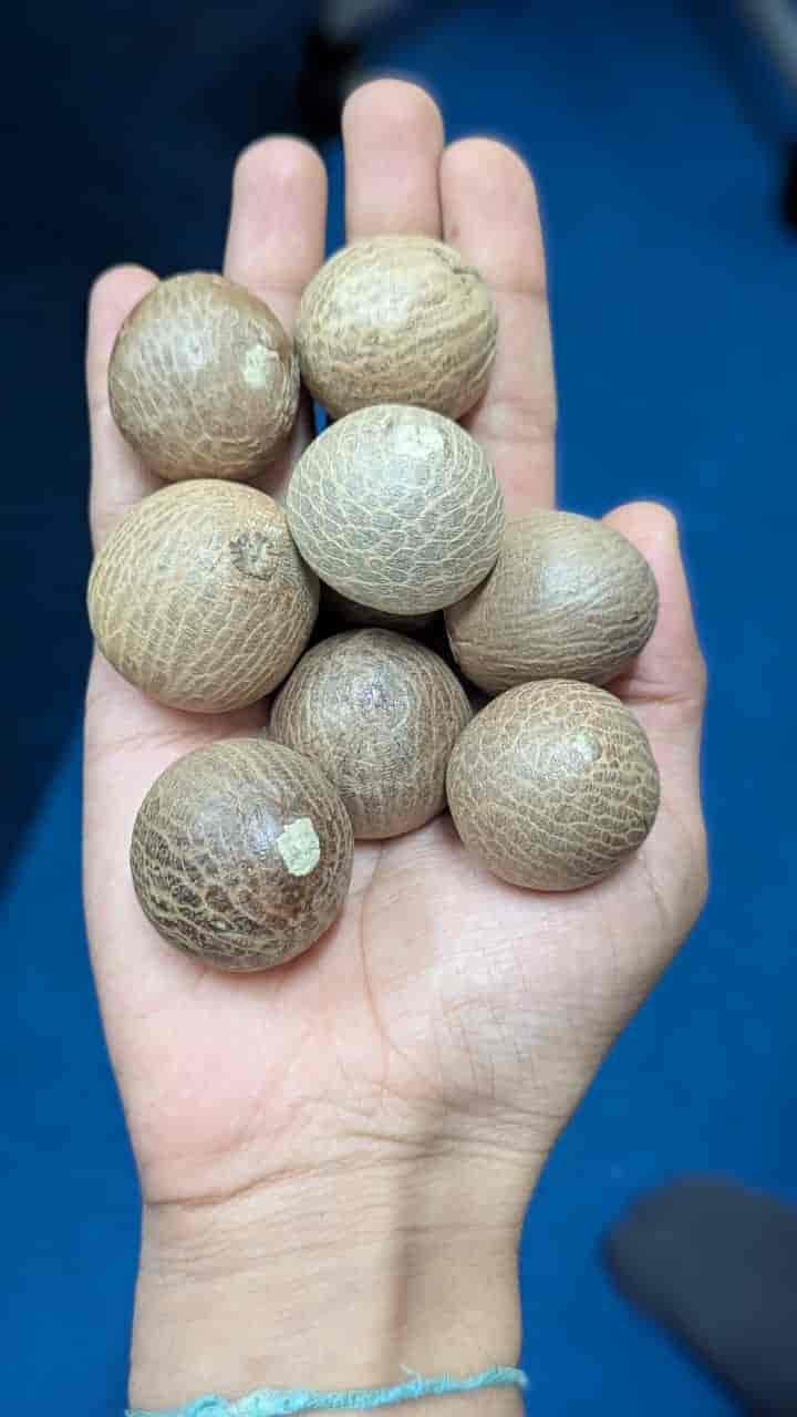 moti mengalore