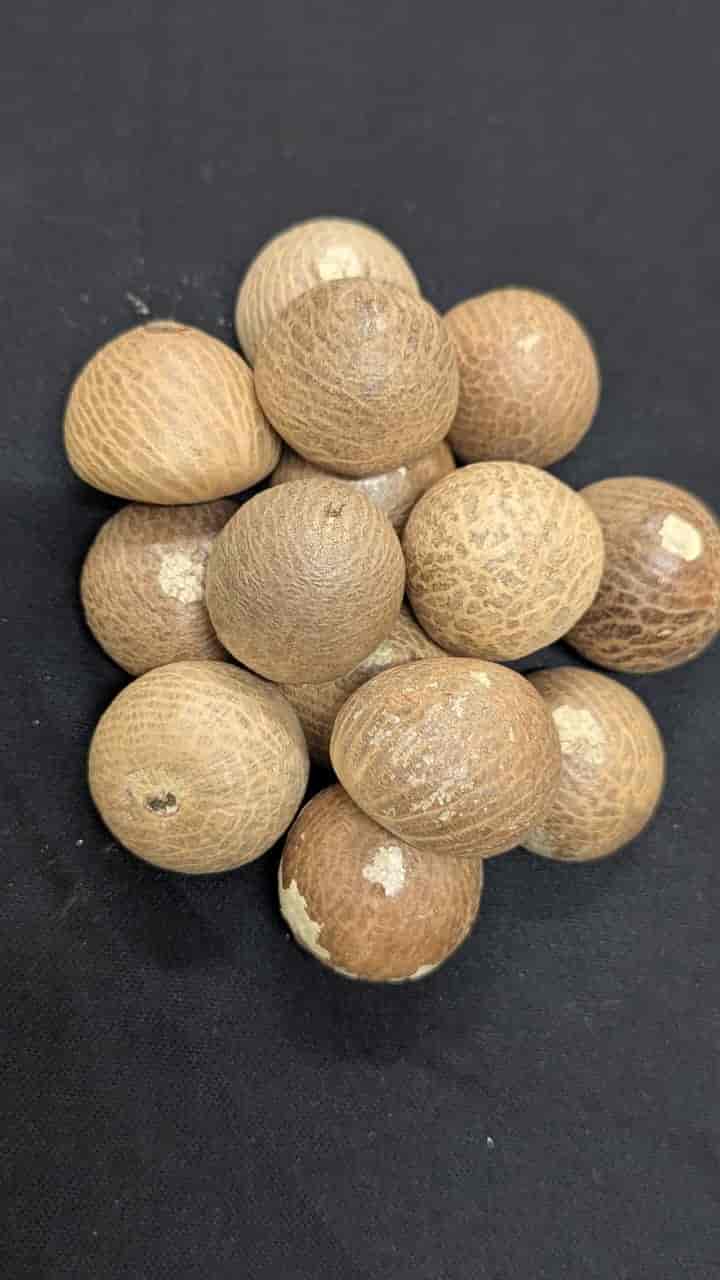 vasaraj                    