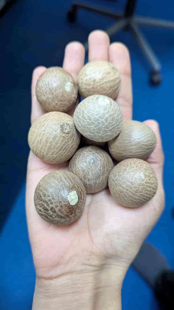 SEVARDAN ( jai kisan)