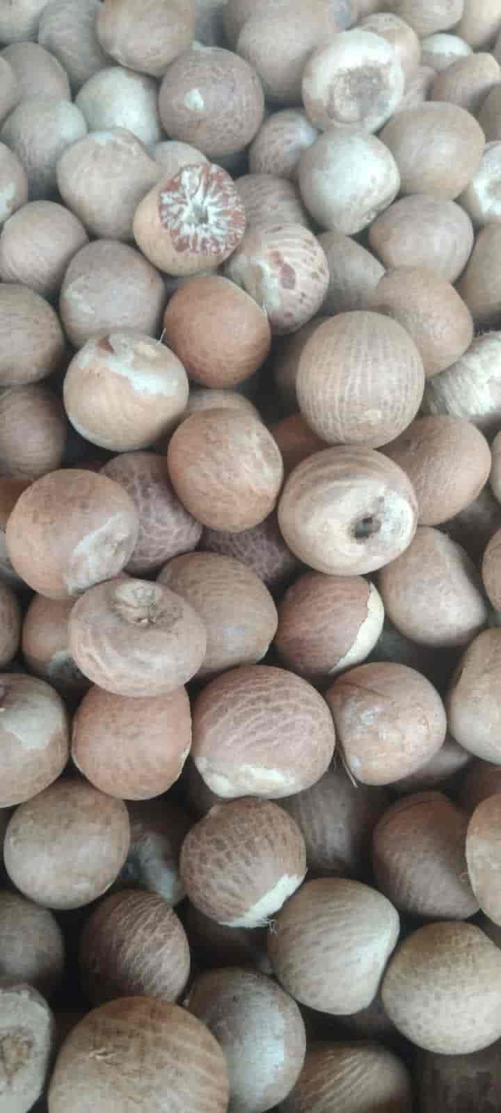 Moti kumta supari