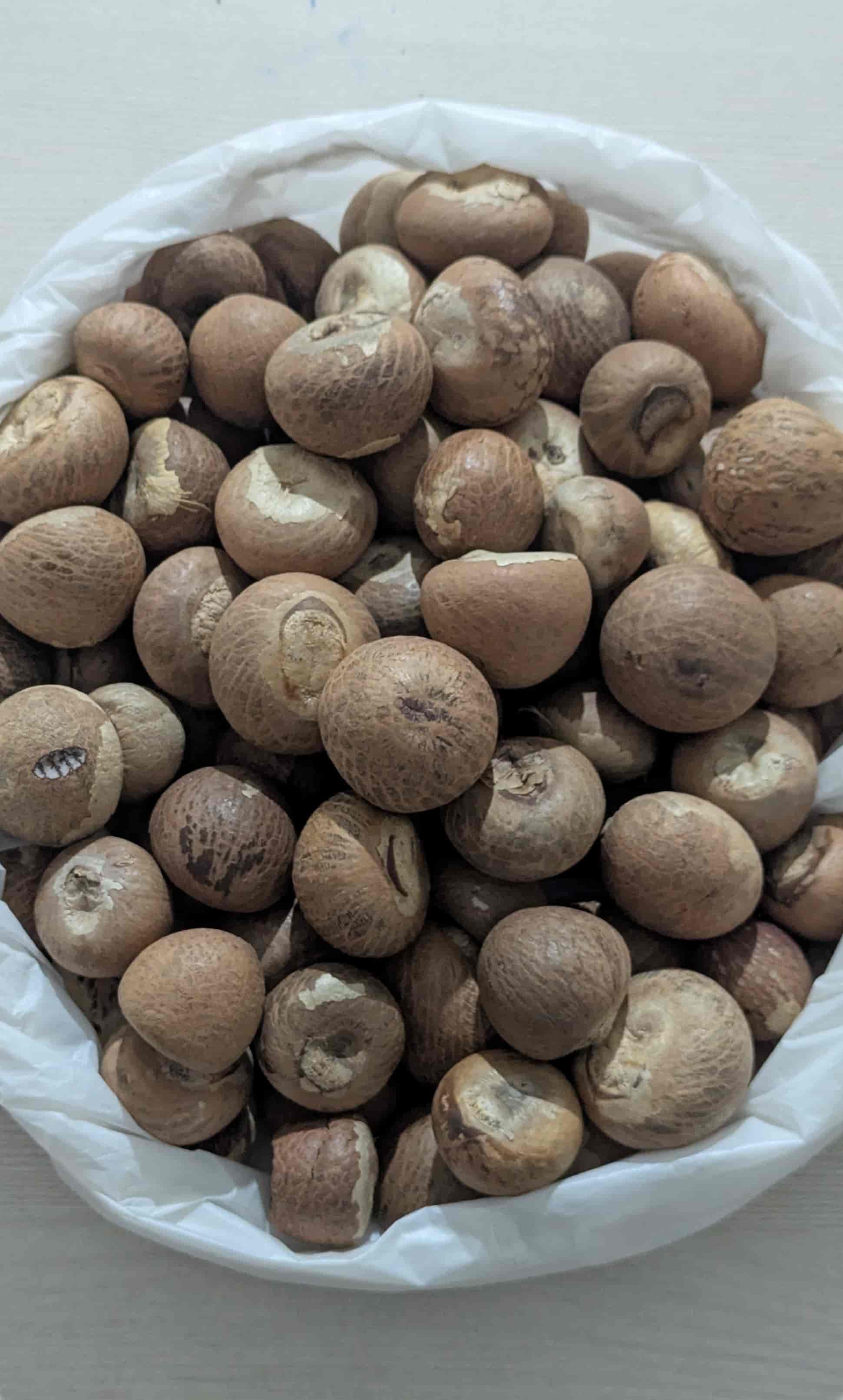 Gota/ ગોટા (બર્મા)